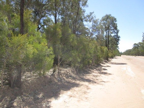 LOT 306 HAPPY LANE, Tara QLD 4421, Image 2