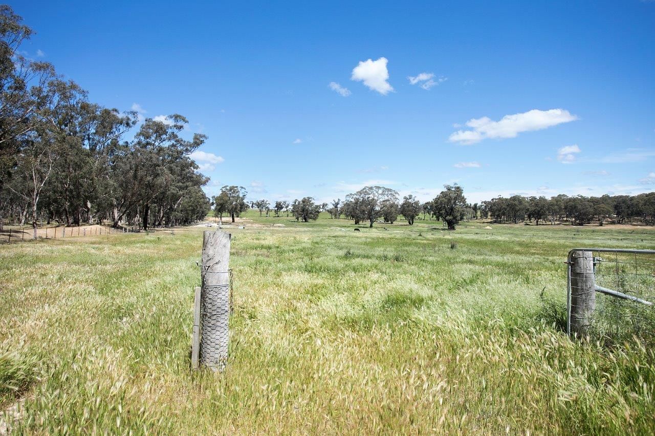 Cnr Claypit Road and Strangways School Road, Strangways VIC 3461, Image 2