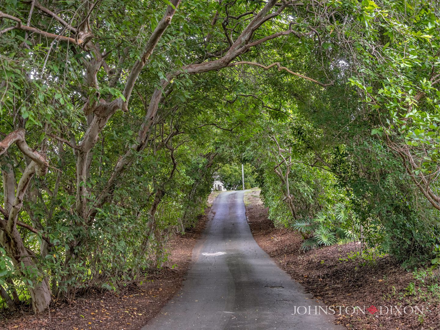 87 McMullen Road, Brookfield QLD 4069, Image 1