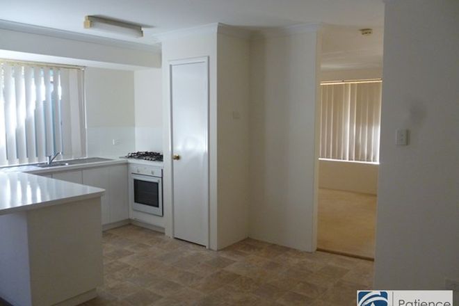 49, 4 Bedroom Houses for Rent in Joondalup, WA, 6027 | Domain