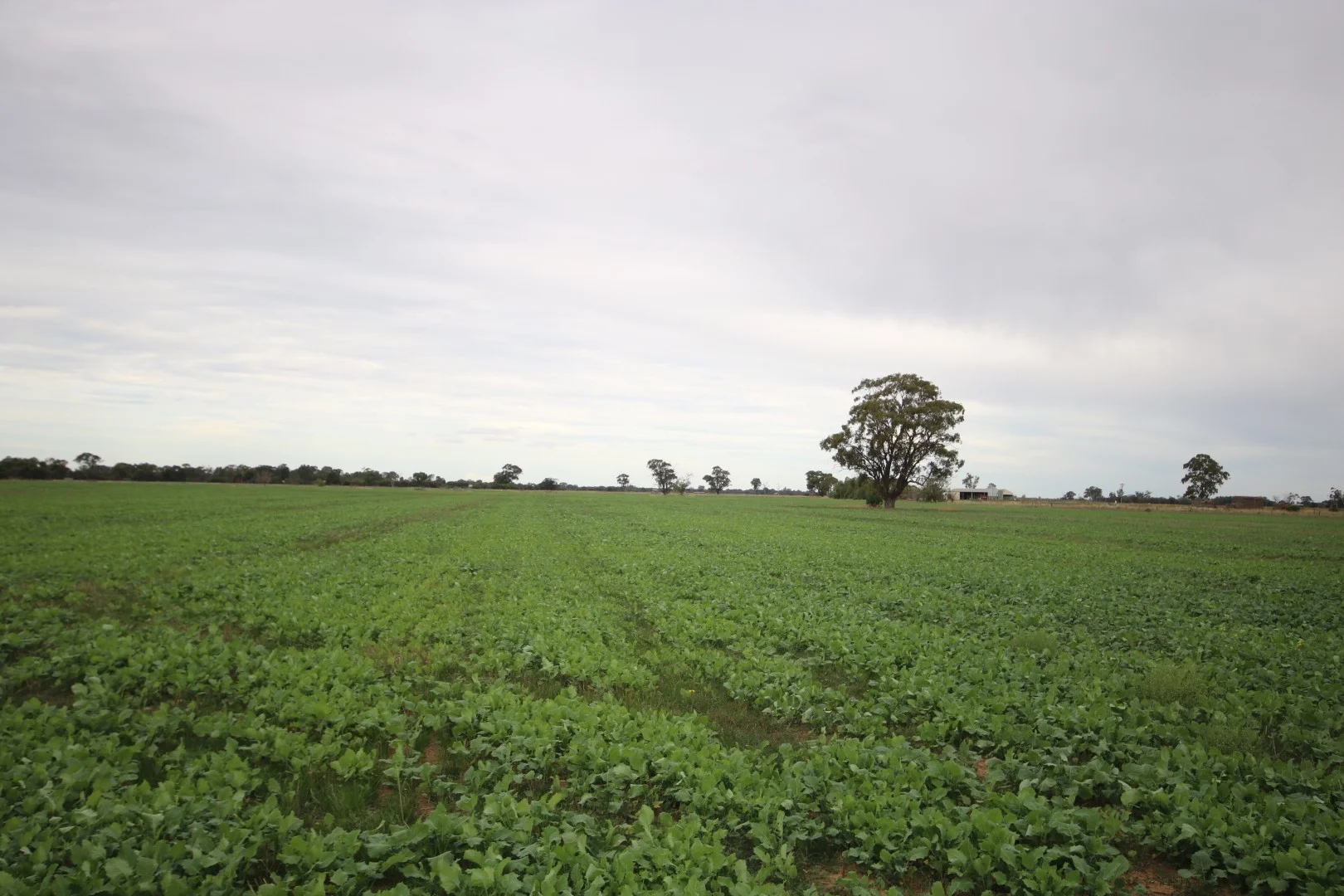 Additional image 4 of 34 Stone Lane, Rochester VIC 3561