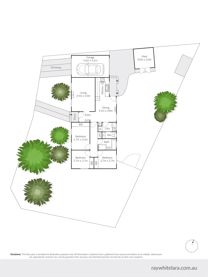 Image 7