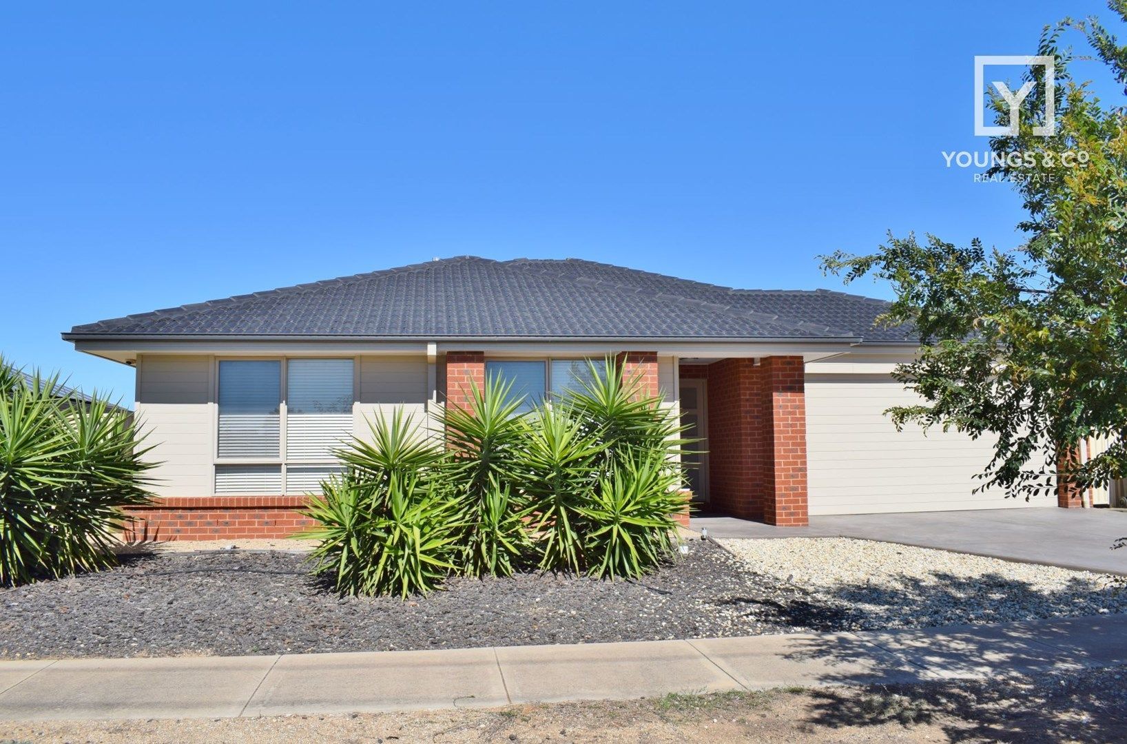 25 Grampians Pde, Shepparton North VIC 3631, Image 0