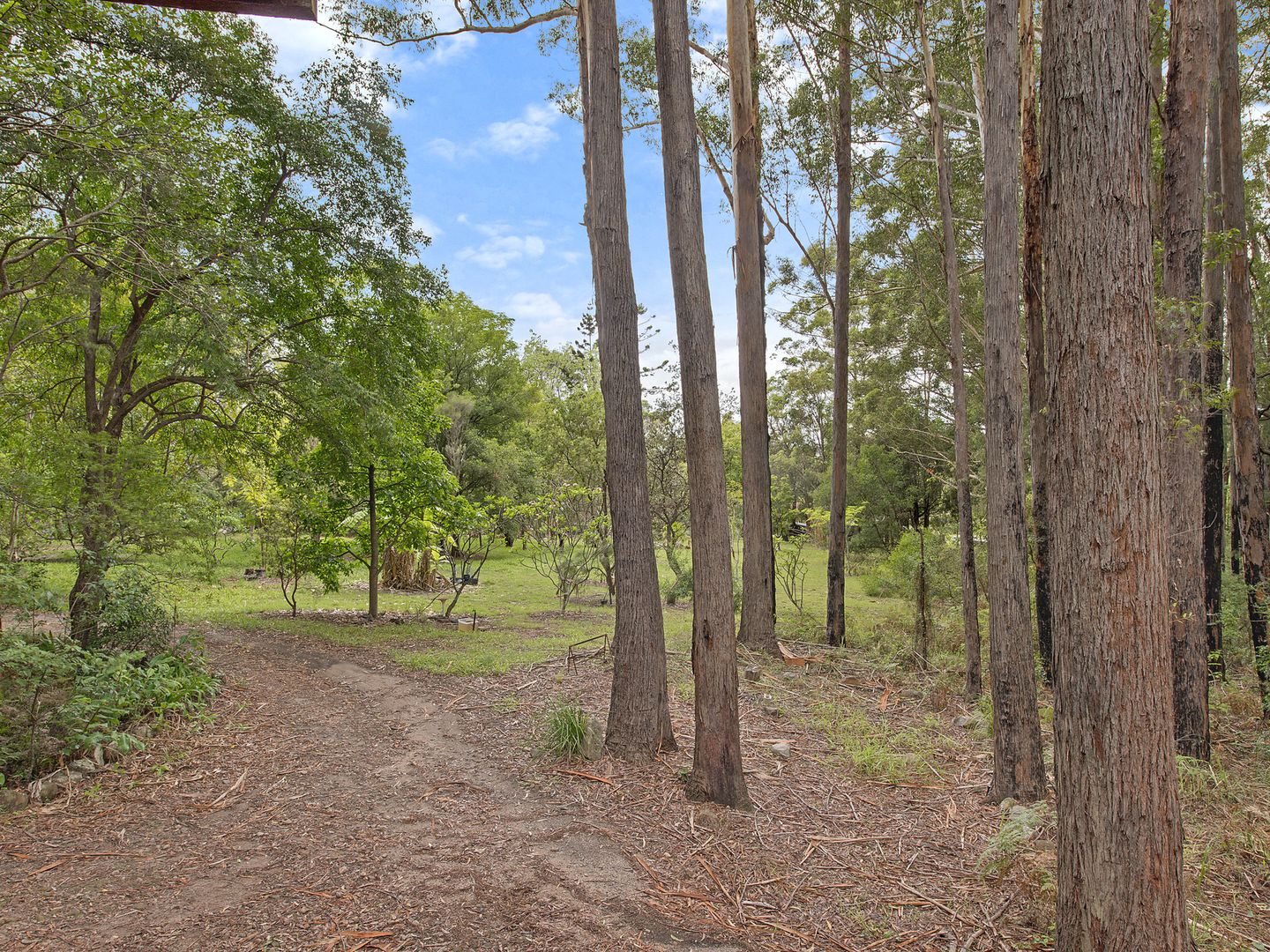 Hoschke Road, Laurieton NSW 2443, Image 2