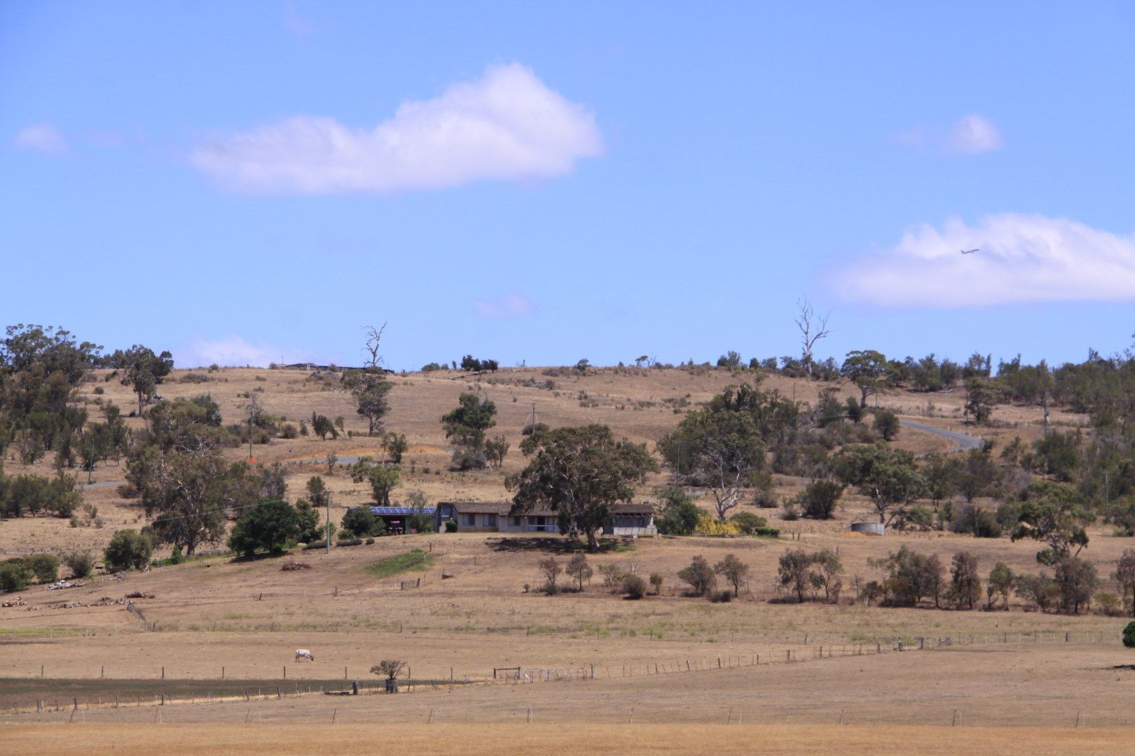 79 Bridges Road, Pawleena Property History & Address Research Domain