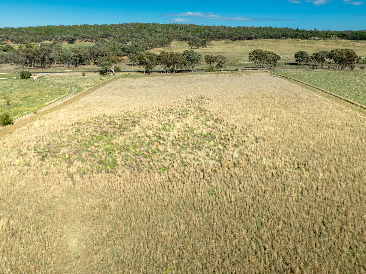 Additional image 10 of 614 Peabody Road, Molong NSW 2866