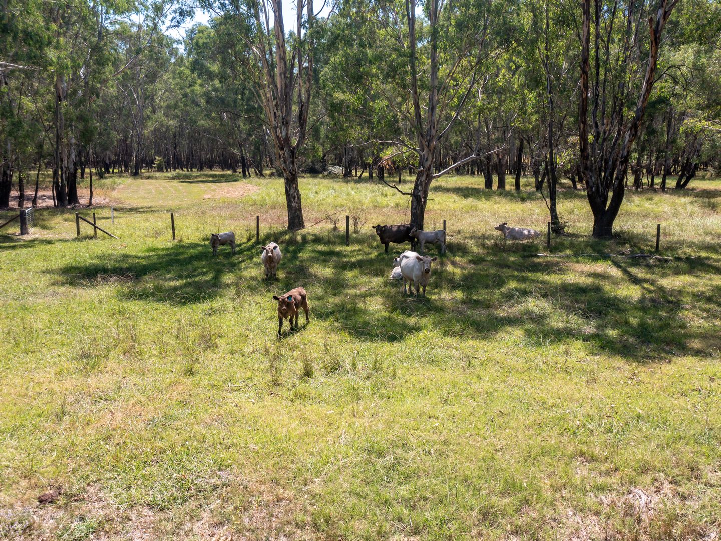 104 Ambrosio Road, North Wangaratta VIC 3678 House for Sale