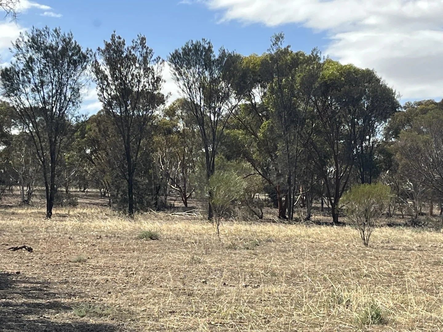 Image 21