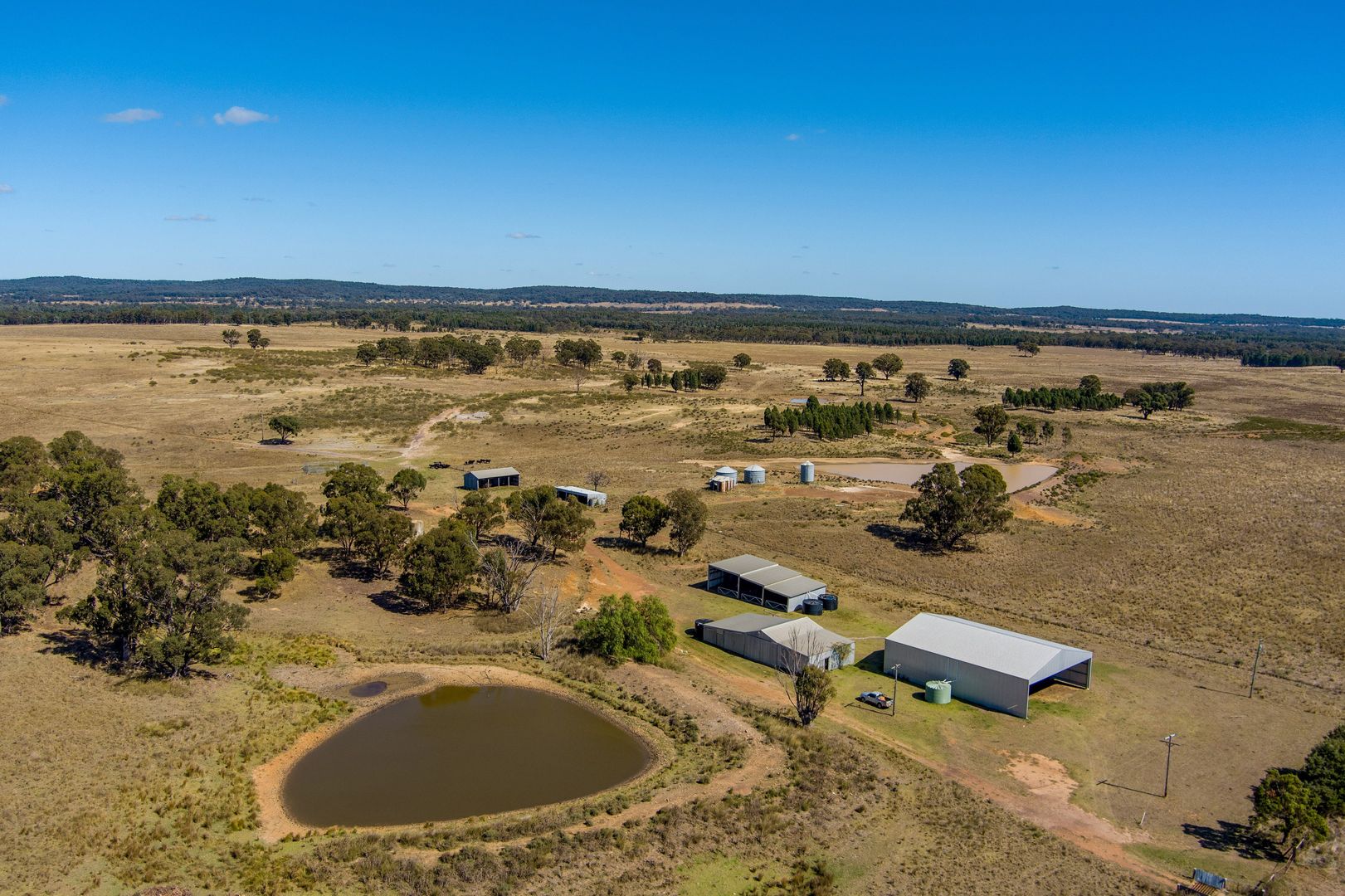 569 Wongoni Road, Dunedoo NSW 2844 House for Sale Domain