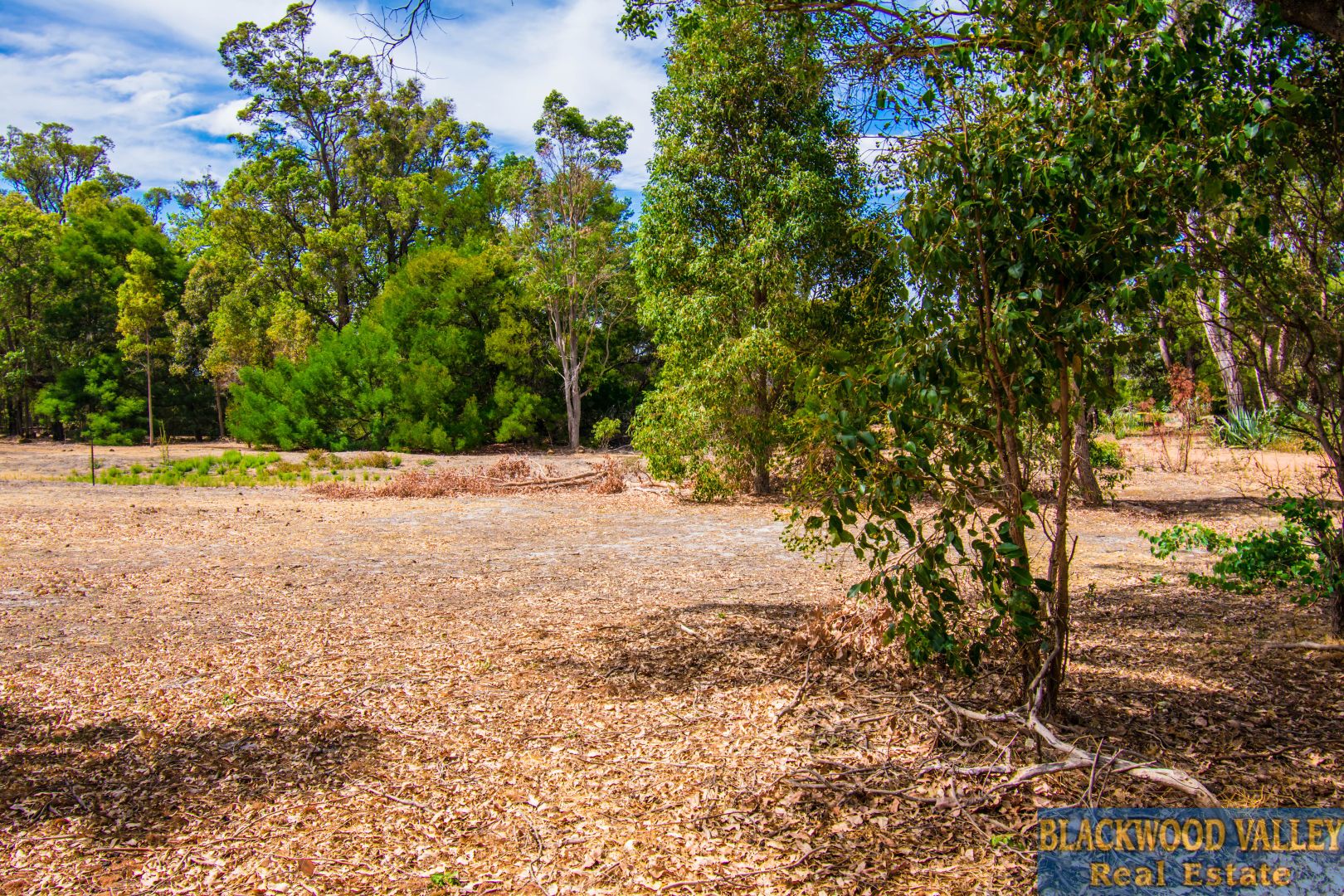 24 Williams Street, North Greenbushes WA 6254, Image 2