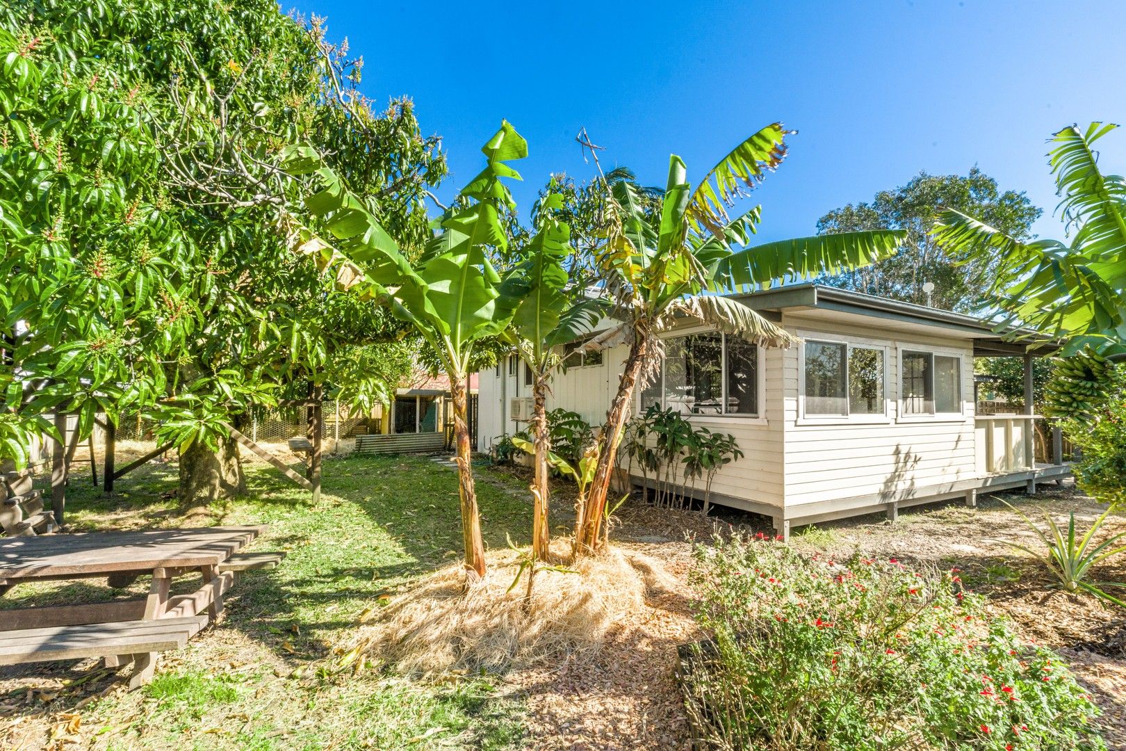 12 King Street, Mullumbimby NSW 2482, Image 0