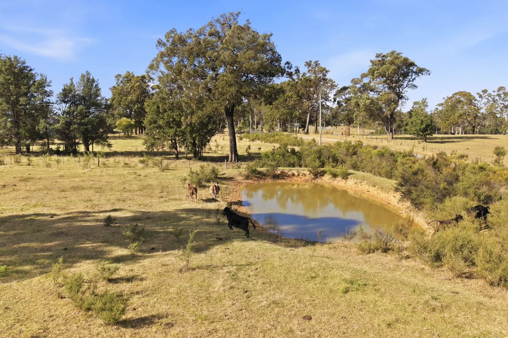 Image 12