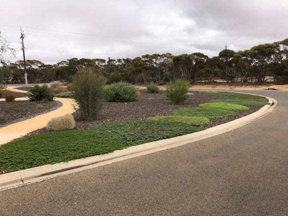 Lots 23-30 Ponderosa Crescent, Karoonda SA 5307, Image 1