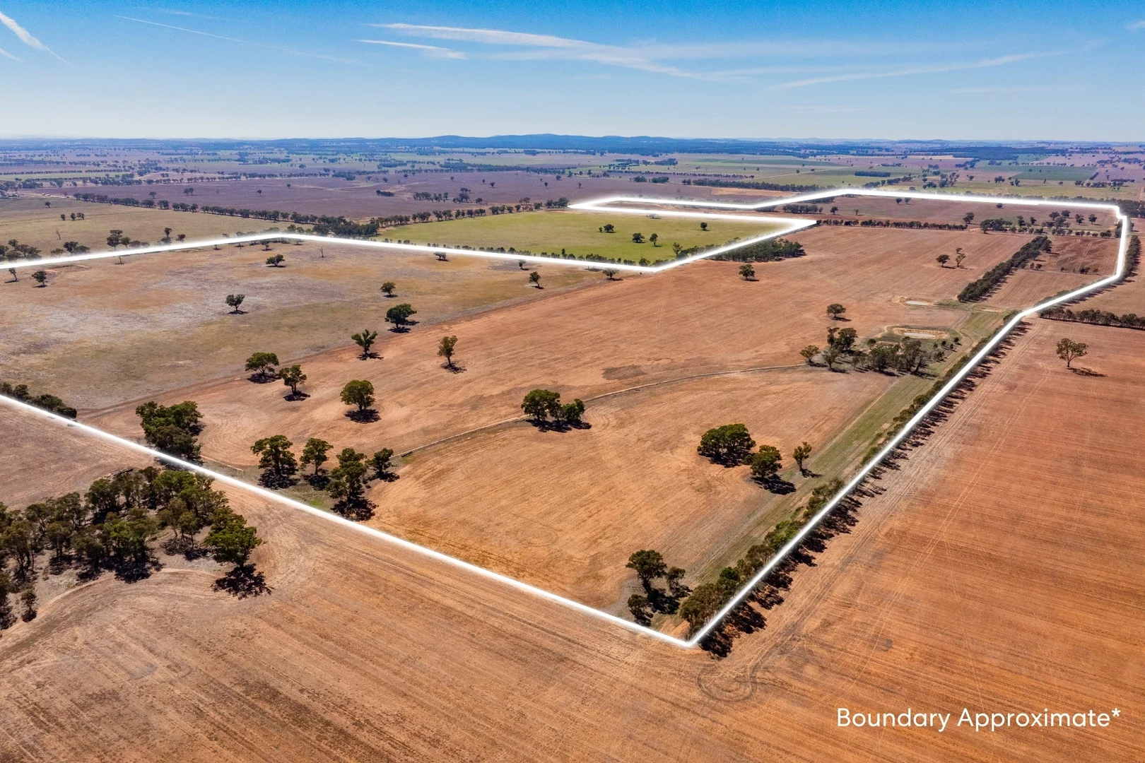 Additional image 5 of Combaning Road, Temora NSW 2666