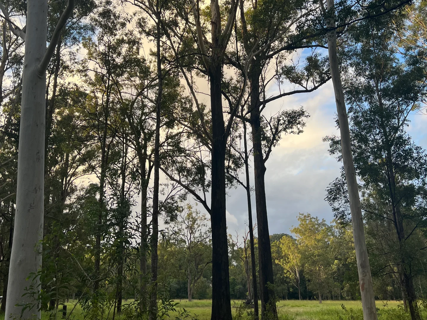 Image 19