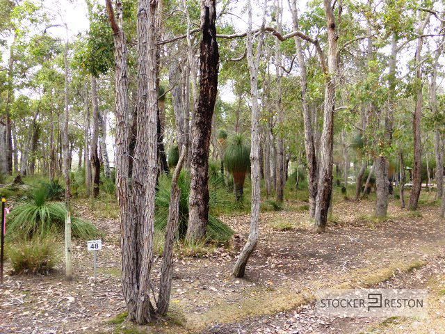 48 Sabina Drive, Molloy Island WA 6290, Image 0