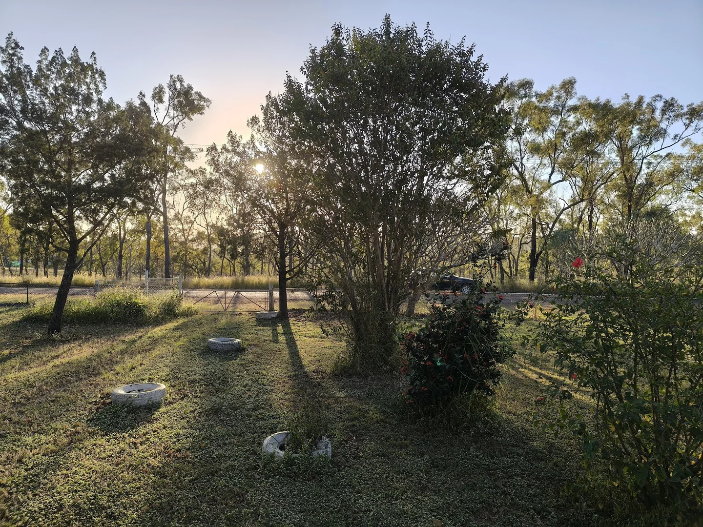 Image 31
