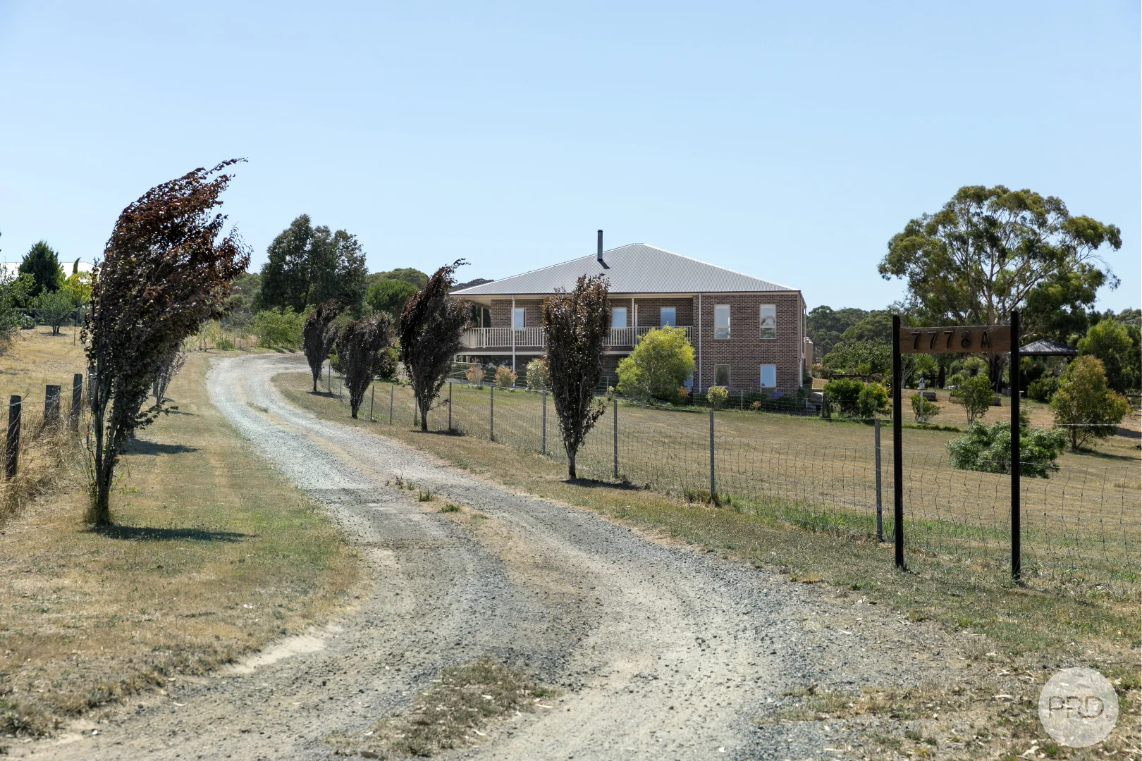 Image 16