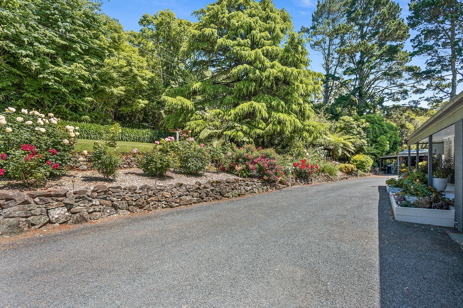 Image 15