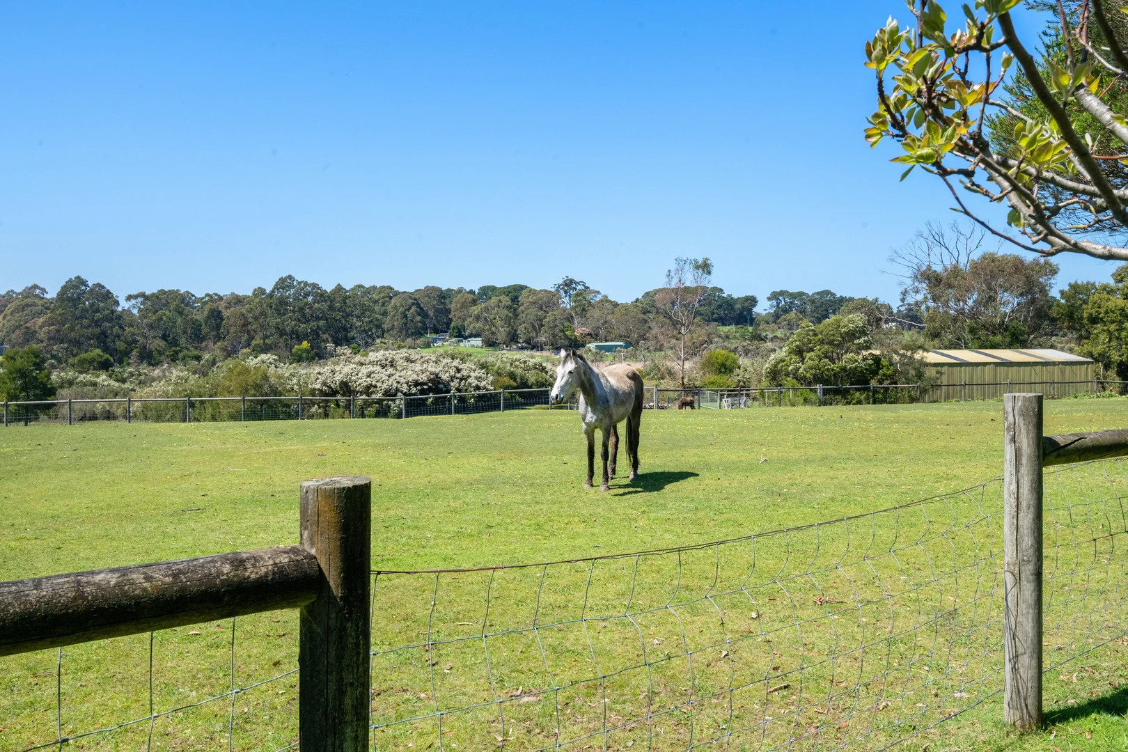 Additional image 14 of 10 Hunts Road, Bittern VIC 3918