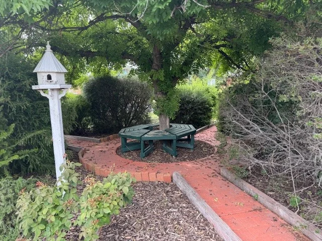 Image 31