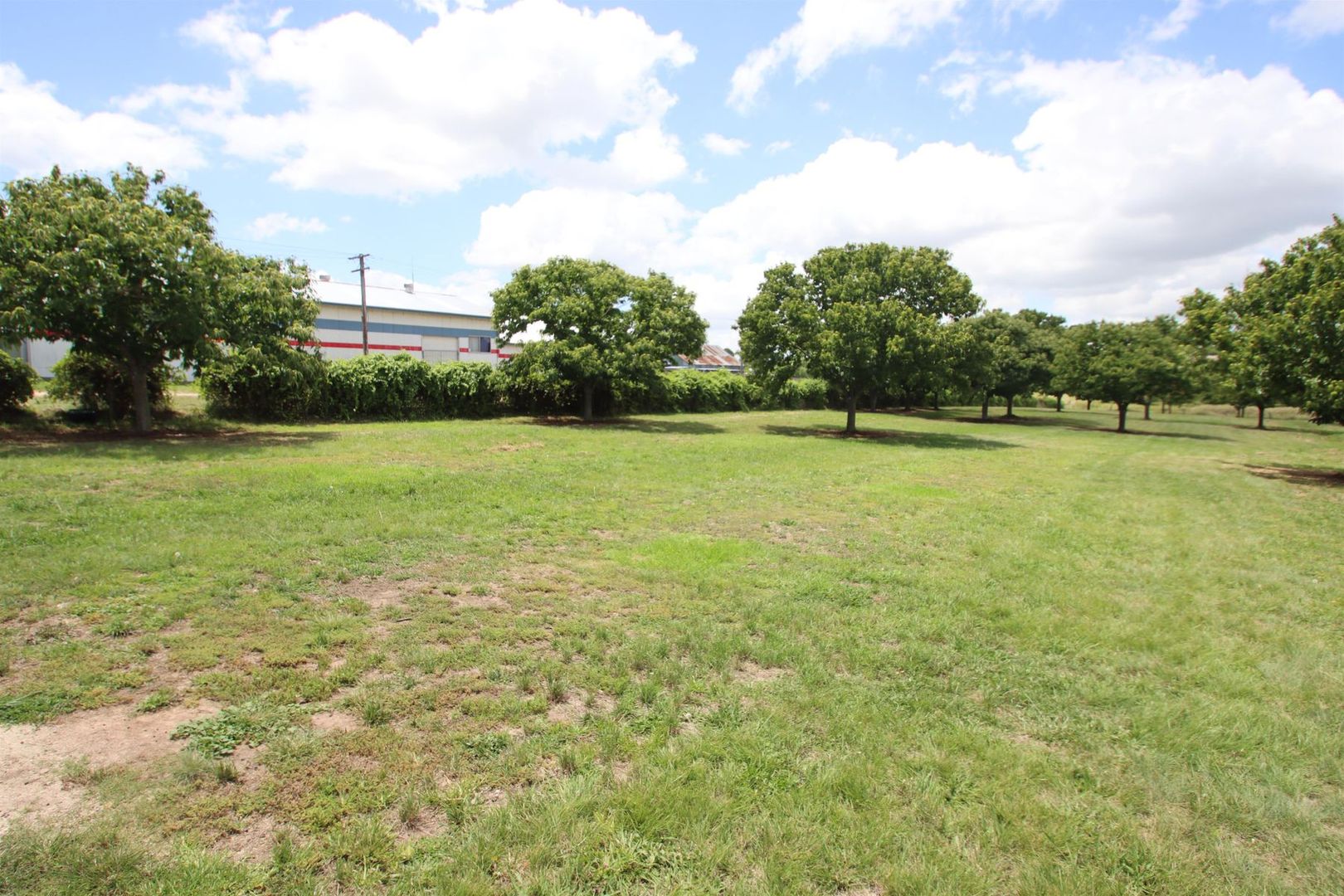 Lot 121 Cowper Street, Tenterfield NSW 2372, Image 2