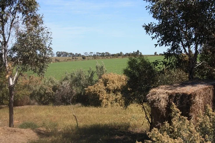 Image 7