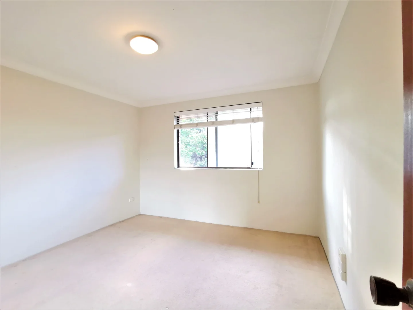 Additional image 5 of 24/2 Caledonian St, Bexley NSW 2207