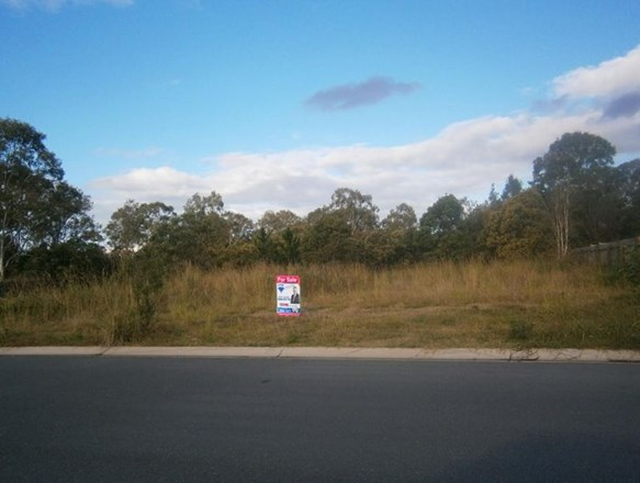 46 Peachfield Drive, Morayfield QLD 4506