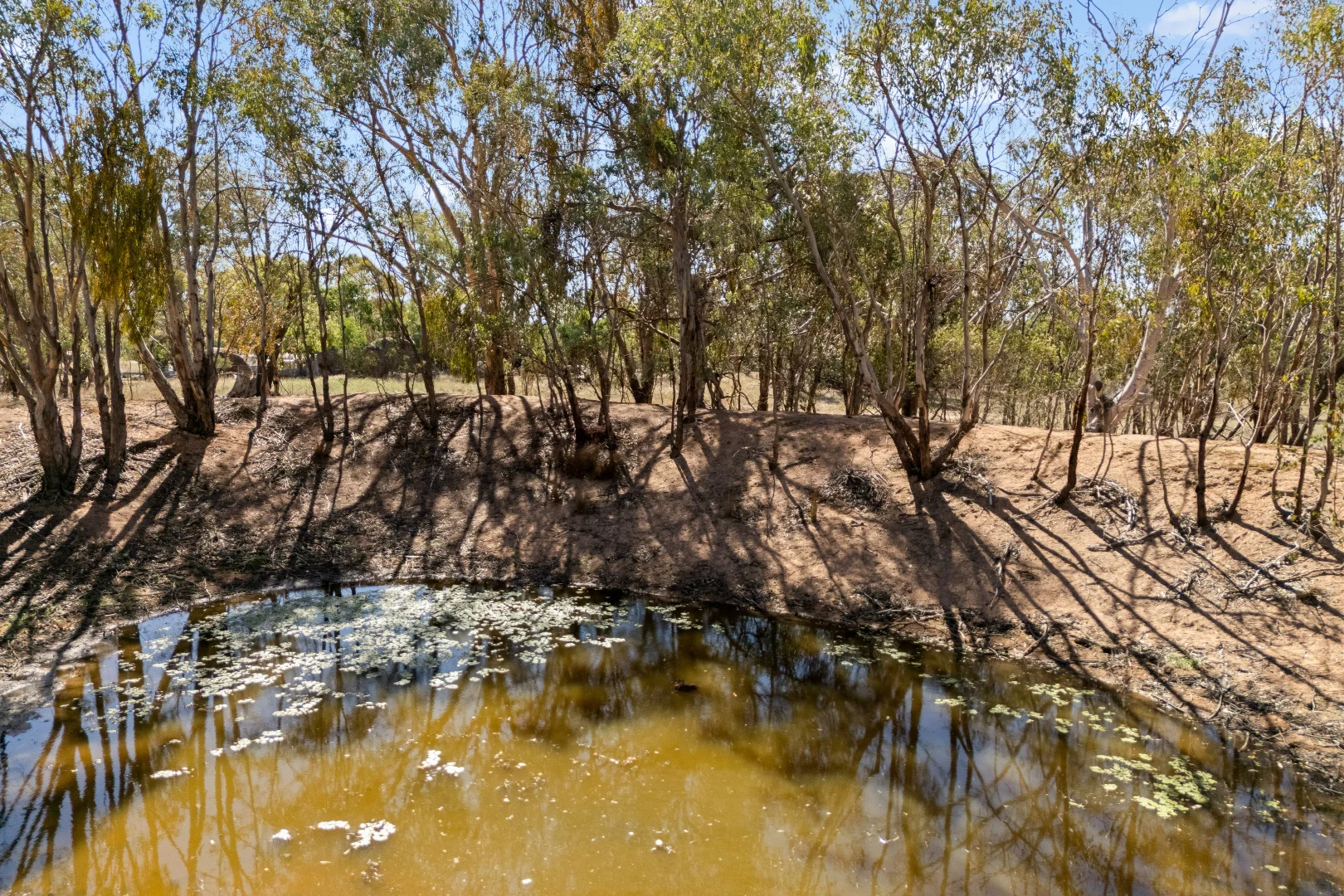 Image 20