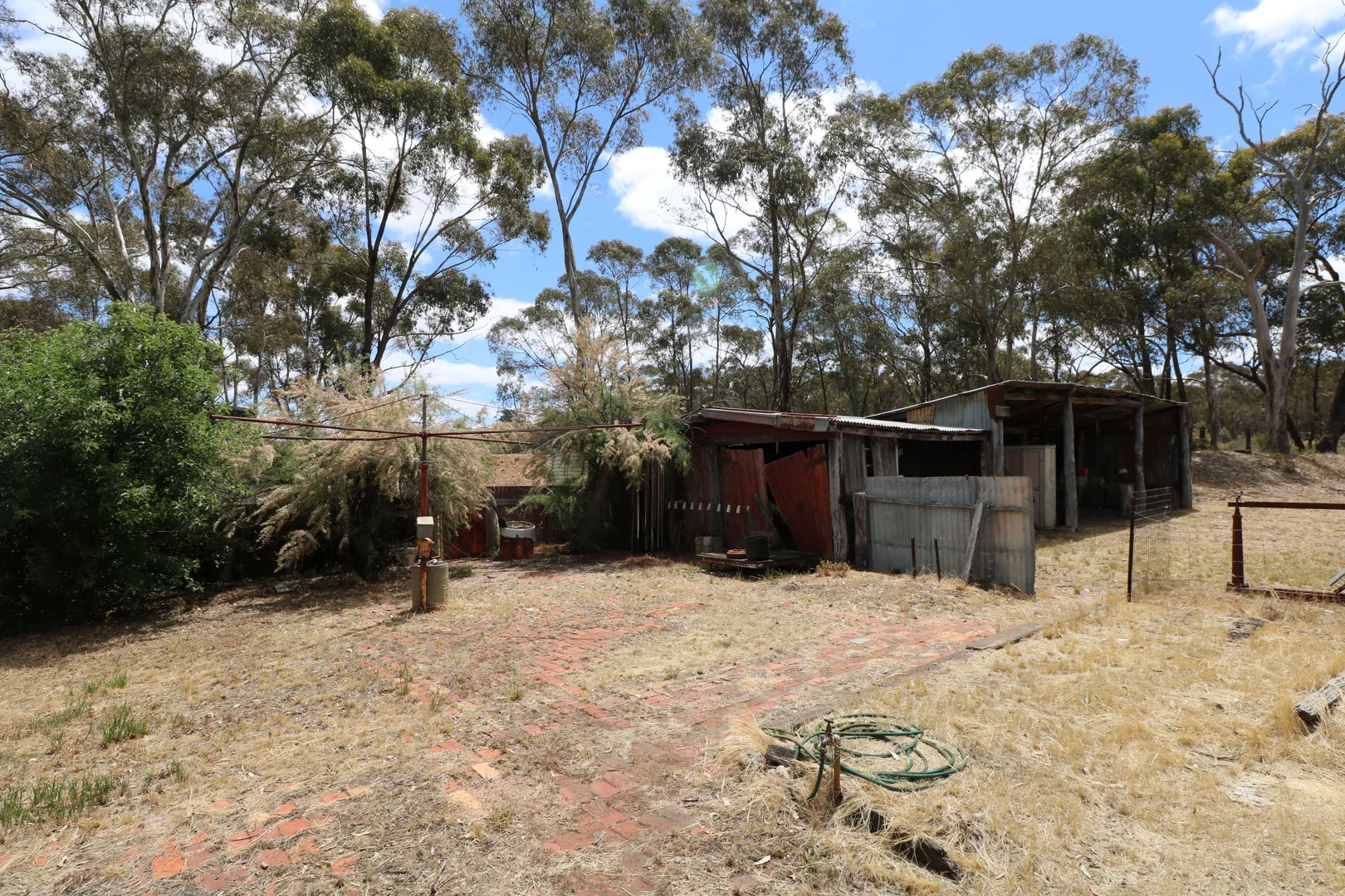 Image 15