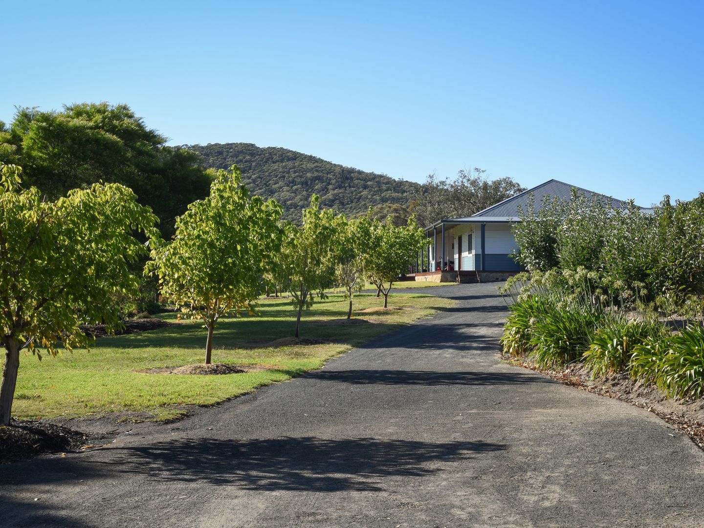 3514 Olympic Highway, Bethungra NSW 2590, Image 1