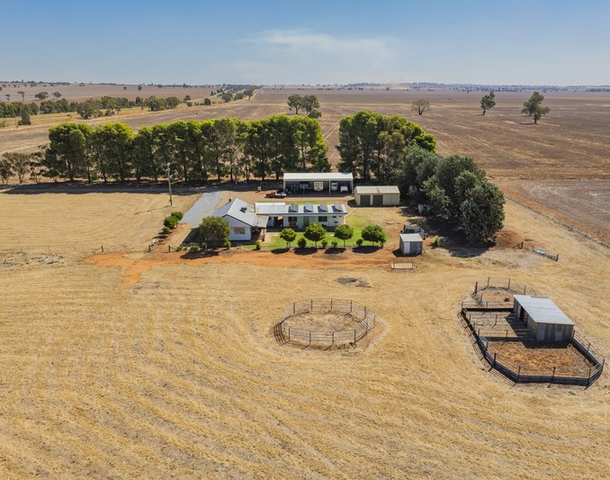 799 Hodges Lane, Marrar NSW 2652