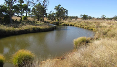 Picture of 1697 Purlewaugh Road, COONABARABRAN NSW 2357