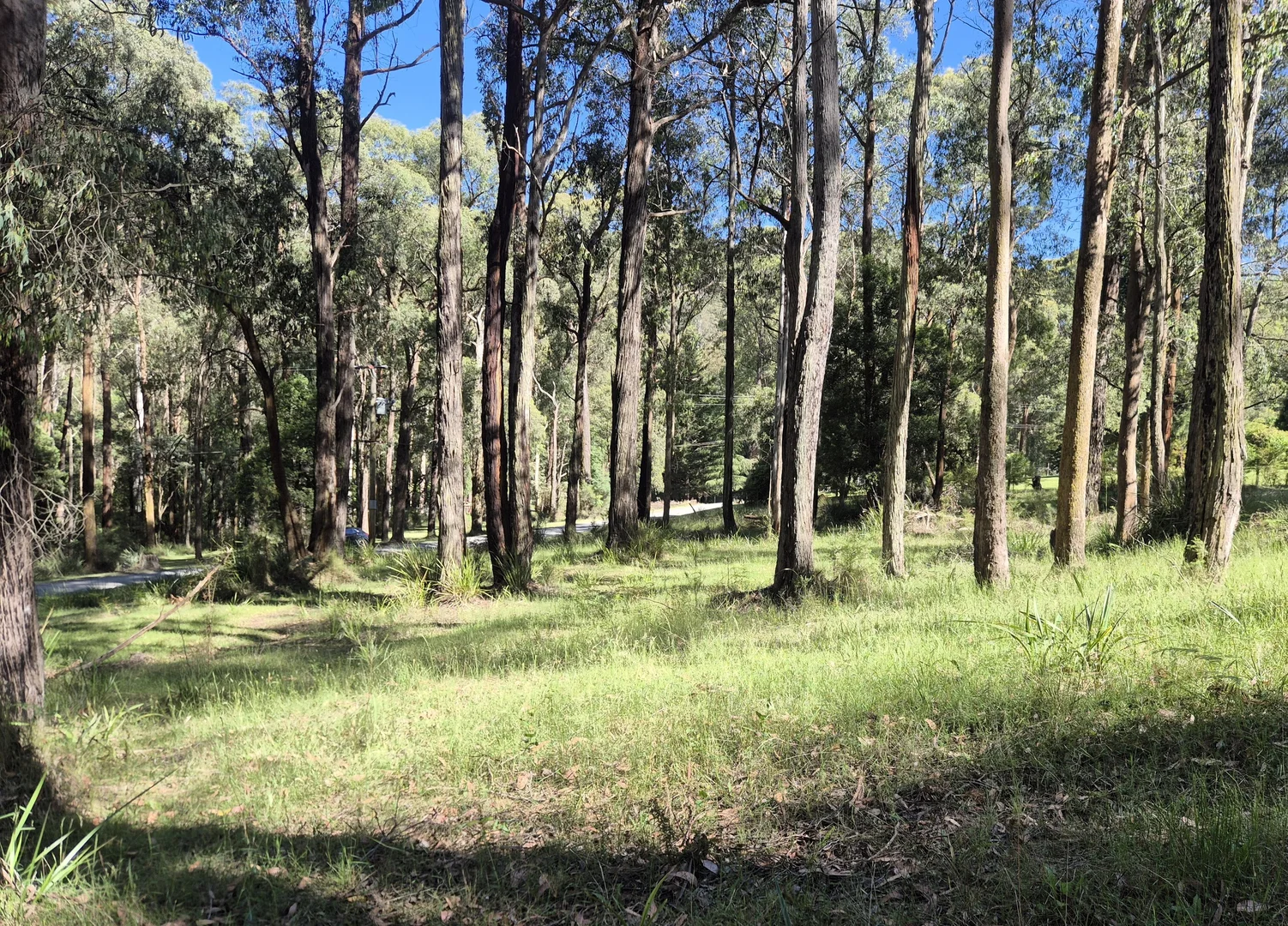 Image 6