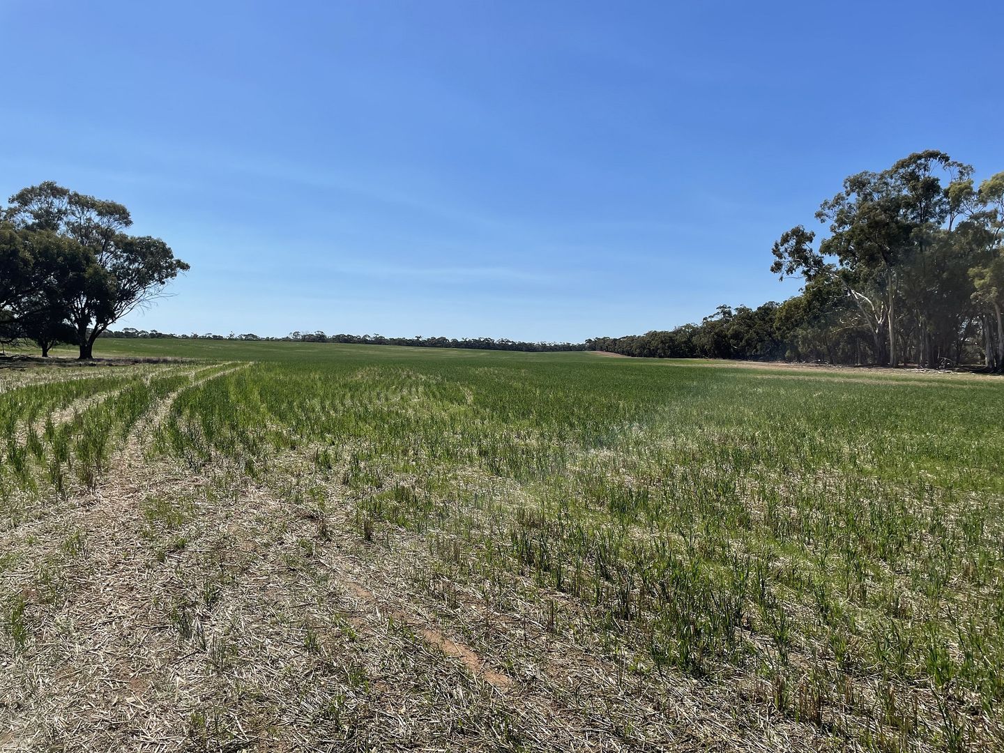 CA 6B/6C, 6D Cnr Nine Mile South & Nine Mile-Wedderburn Road, Nine Mile VIC 3518, Image 1