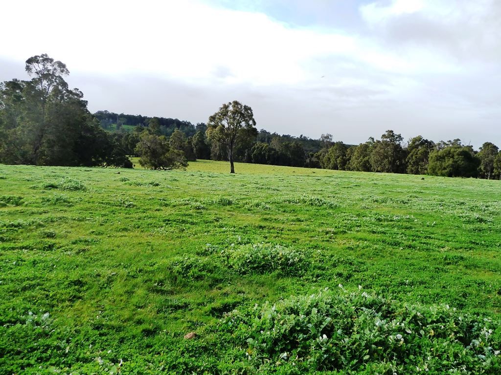 Lot 7449 Carters Road, Greenbushes WA 6254, Image 1