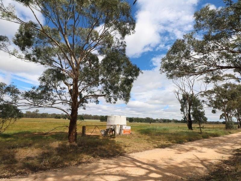 Lot 50 Harpers Lane, Wedderburn VIC 3518, Image 1