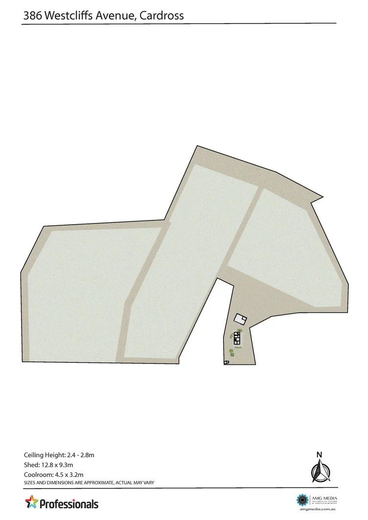 Image 19