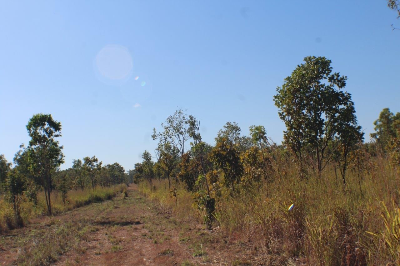 1780 Coach Road, Batchelor NT 0845 Vacant Land for Sale Domain