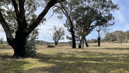 Picture of 57 Paddys Flats Track, PADDYS RIVER NSW 2653