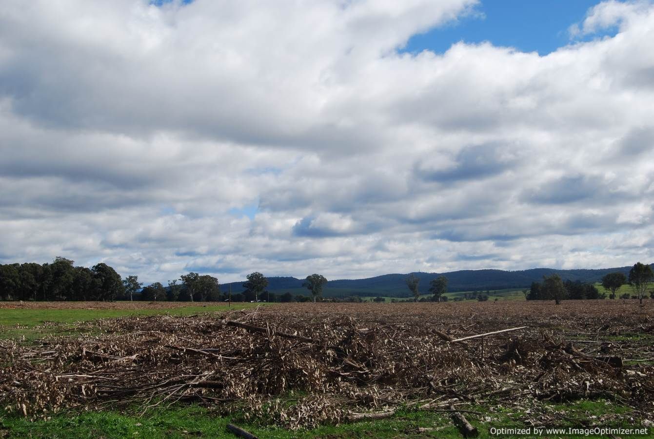 00 Stockdale-Fernbank Road, Stockdale VIC 3862, Image 1