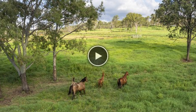 Picture of 539 Oaky Creek Road, OAKY CREEK QLD 4285