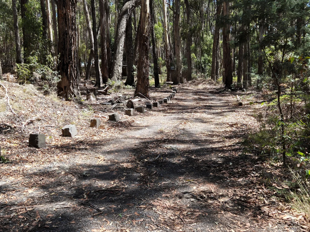 Image 14