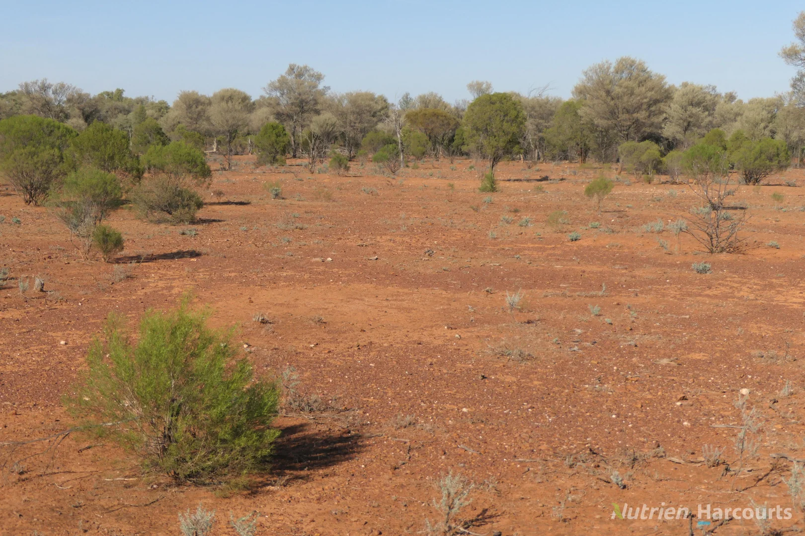 Additional image 6 of 27 Singleton Drive, Cobar NSW 2835