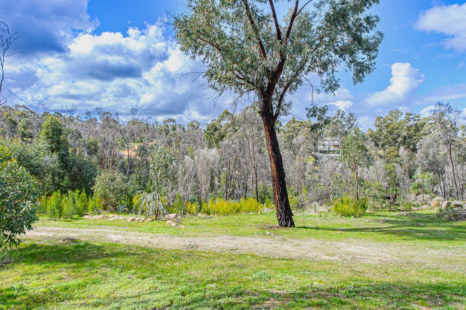 Vacant land in 145 Tilden Drive, GIDGEGANNUP WA, 6083