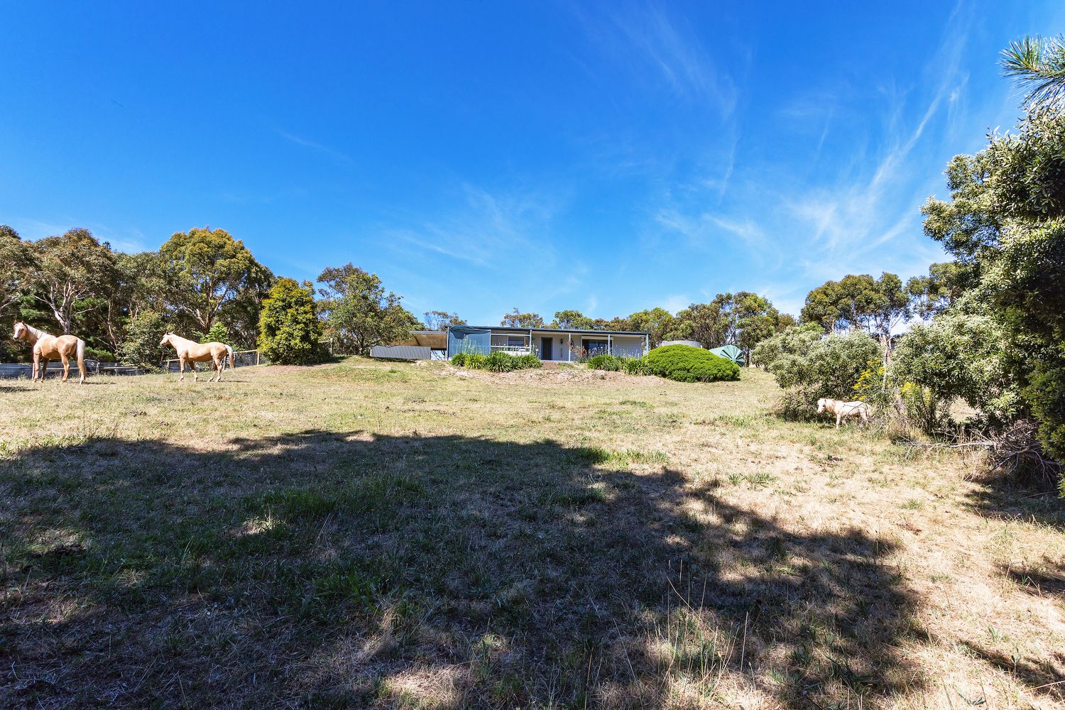 728 Range Road West, WILLUNGA SOUTH, Willunga South SA 5172, Image 1