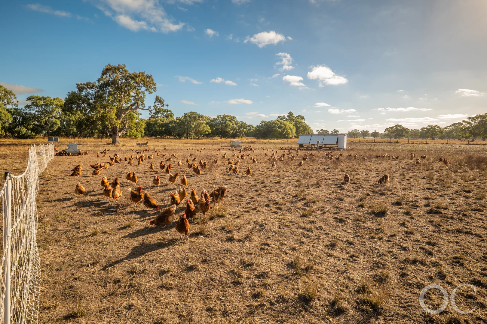 Additional image 23 of 30 Brookman Road, Meadows SA 5201