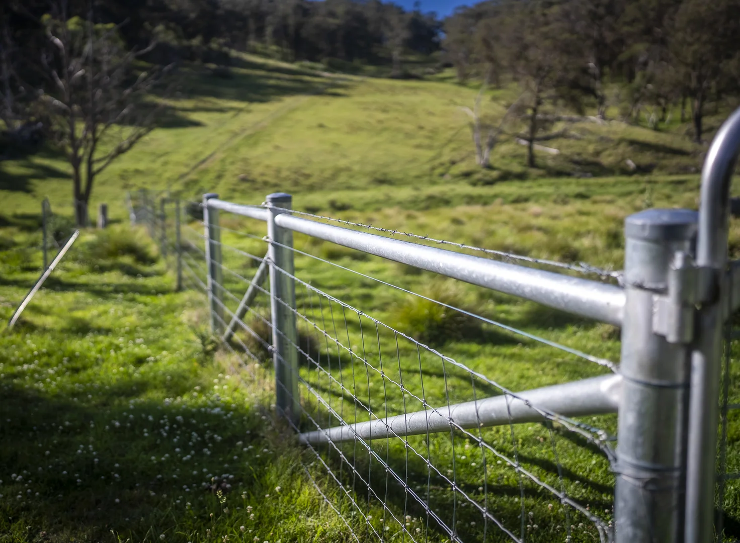 Additional image 22 of 161 Hickeys Road, Wongwibinda NSW 2350