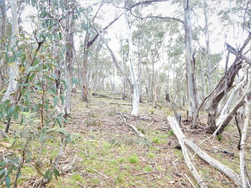Image 15